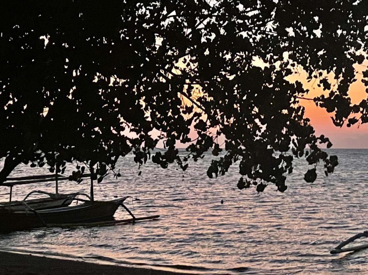 Shady Grove Healing Centre & Homestay W House Rules Please Read Before Booking Sanur Esterno foto