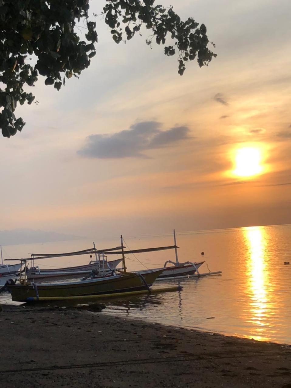 Shady Grove Healing Centre & Homestay W House Rules Please Read Before Booking Sanur Esterno foto