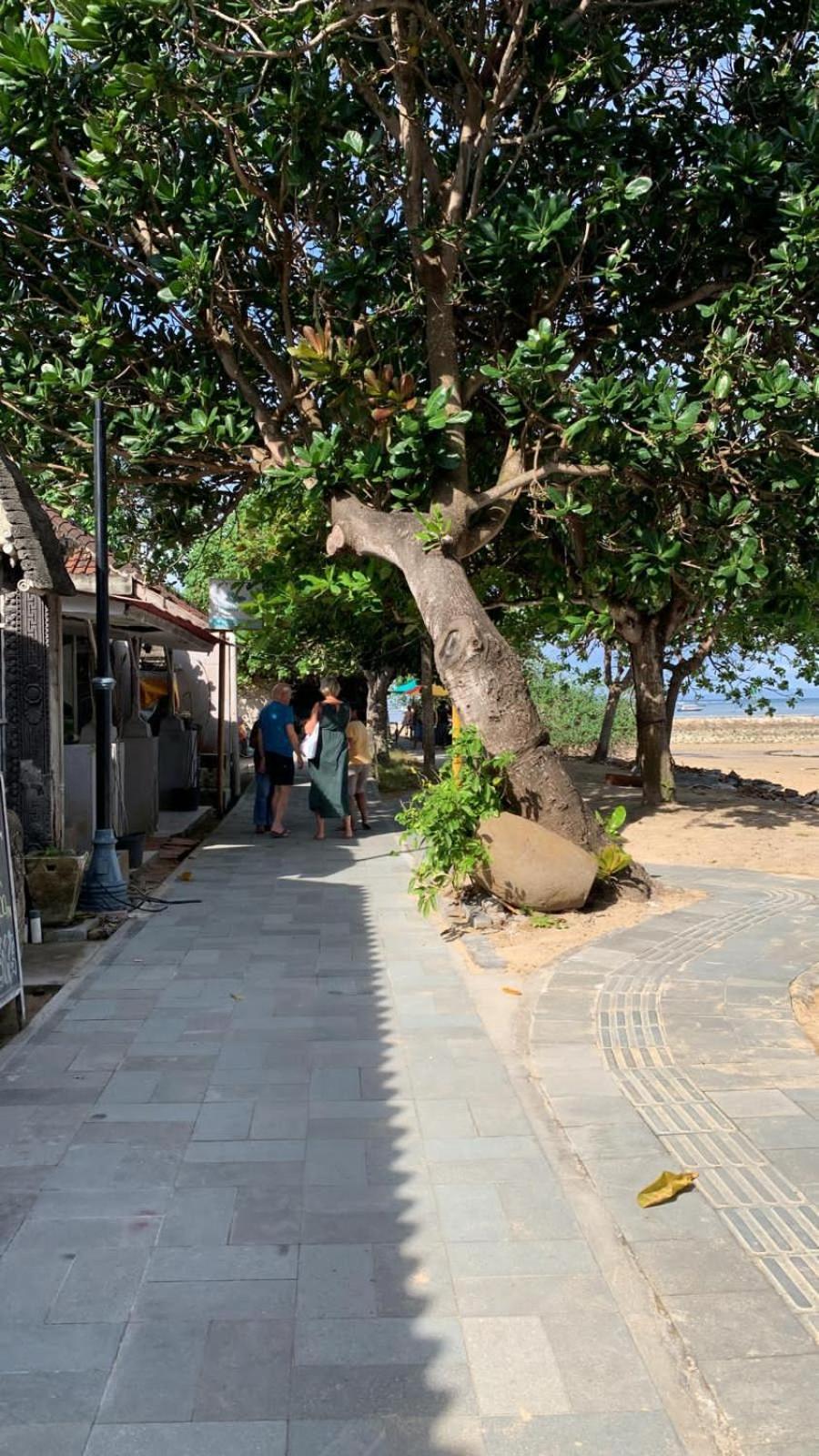 Shady Grove Healing Centre & Homestay W House Rules Please Read Before Booking Sanur Esterno foto