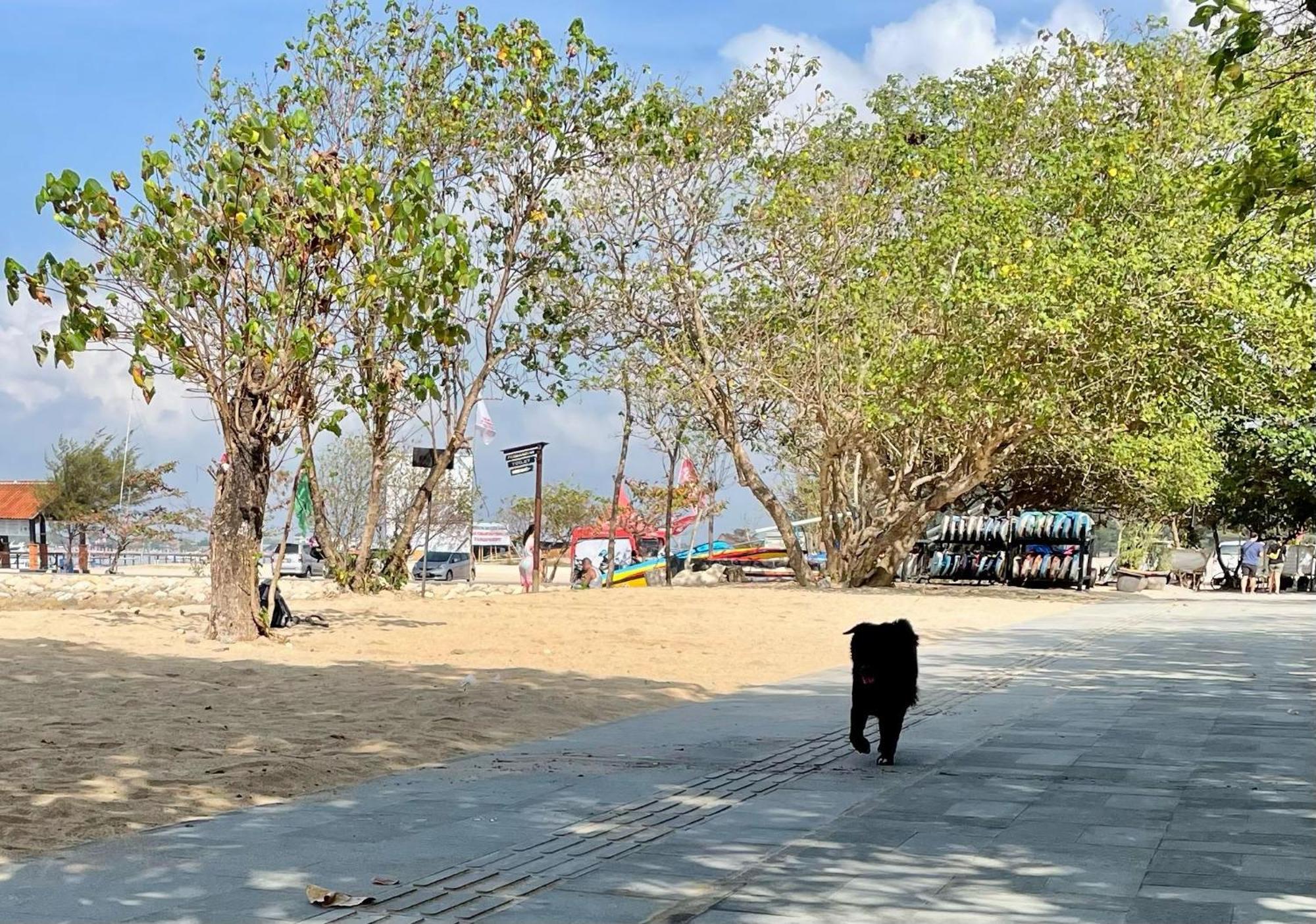 Shady Grove Healing Centre & Homestay W House Rules Please Read Before Booking Sanur Esterno foto