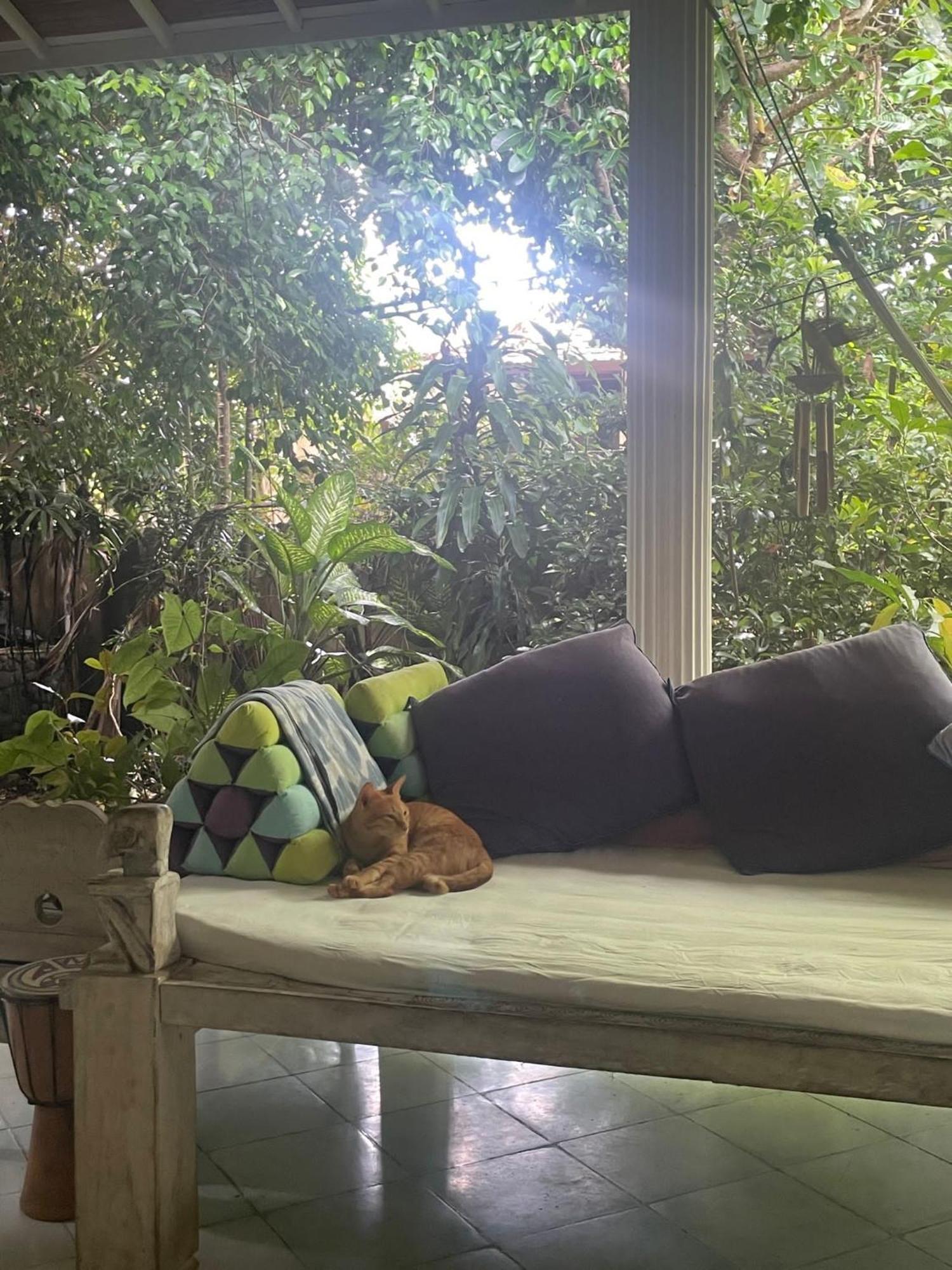 Shady Grove Healing Centre & Homestay W House Rules Please Read Before Booking Sanur Esterno foto
