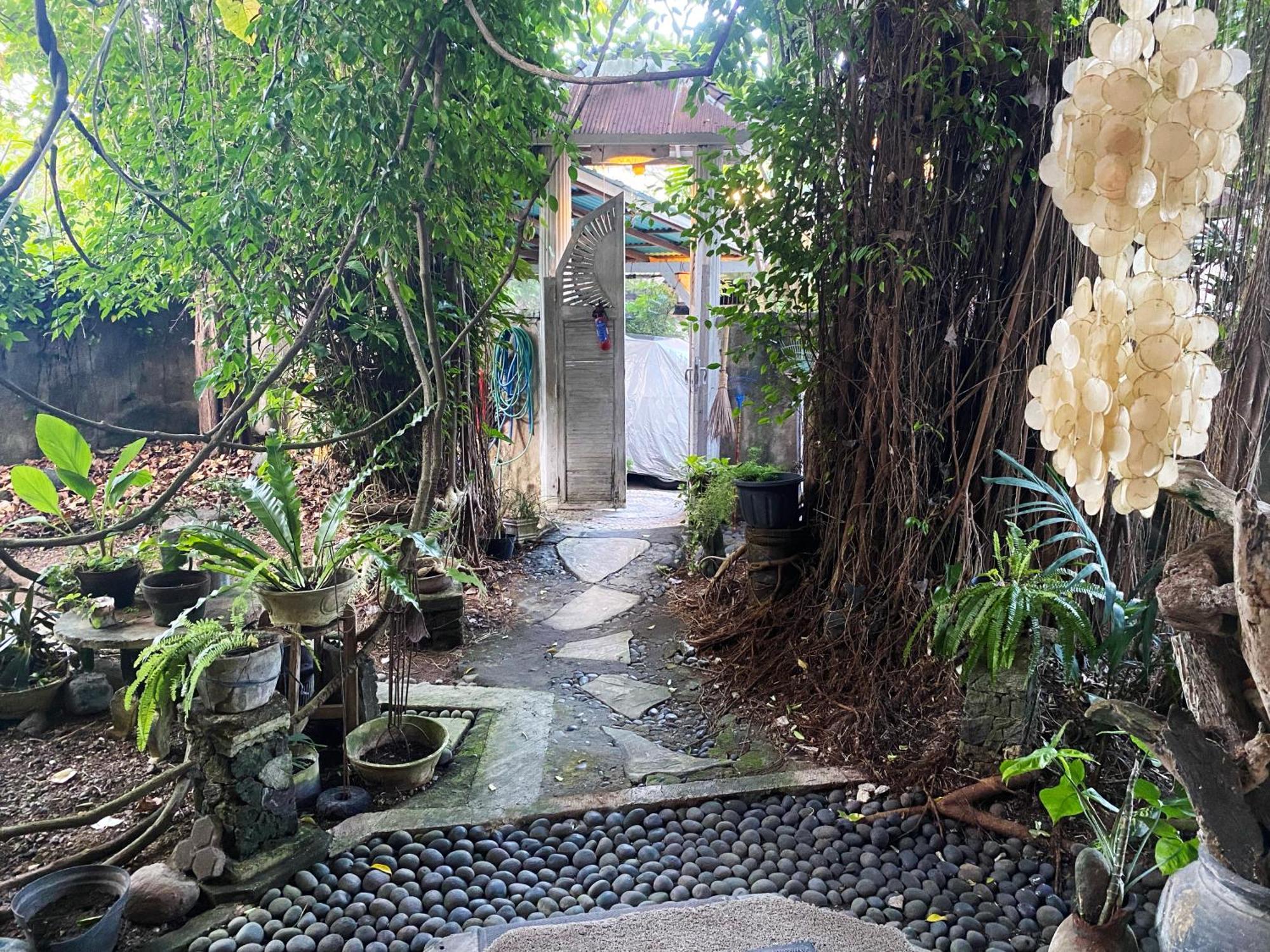 Shady Grove Healing Centre & Homestay W House Rules Please Read Before Booking Sanur Esterno foto