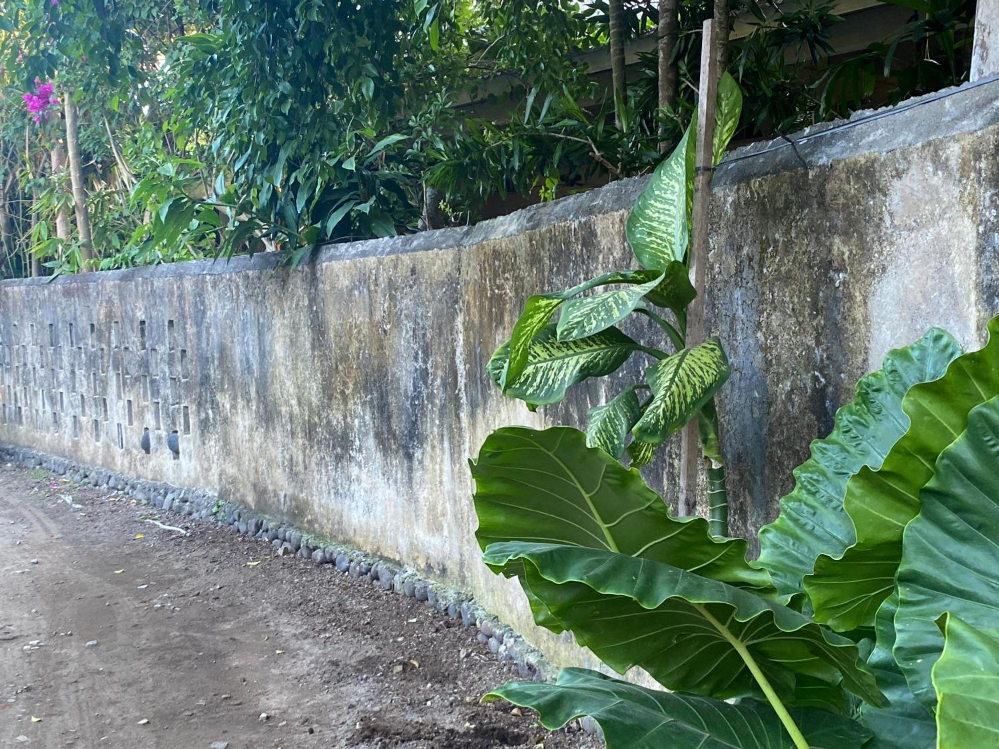 Shady Grove Healing Centre & Homestay W House Rules Please Read Before Booking Sanur Esterno foto