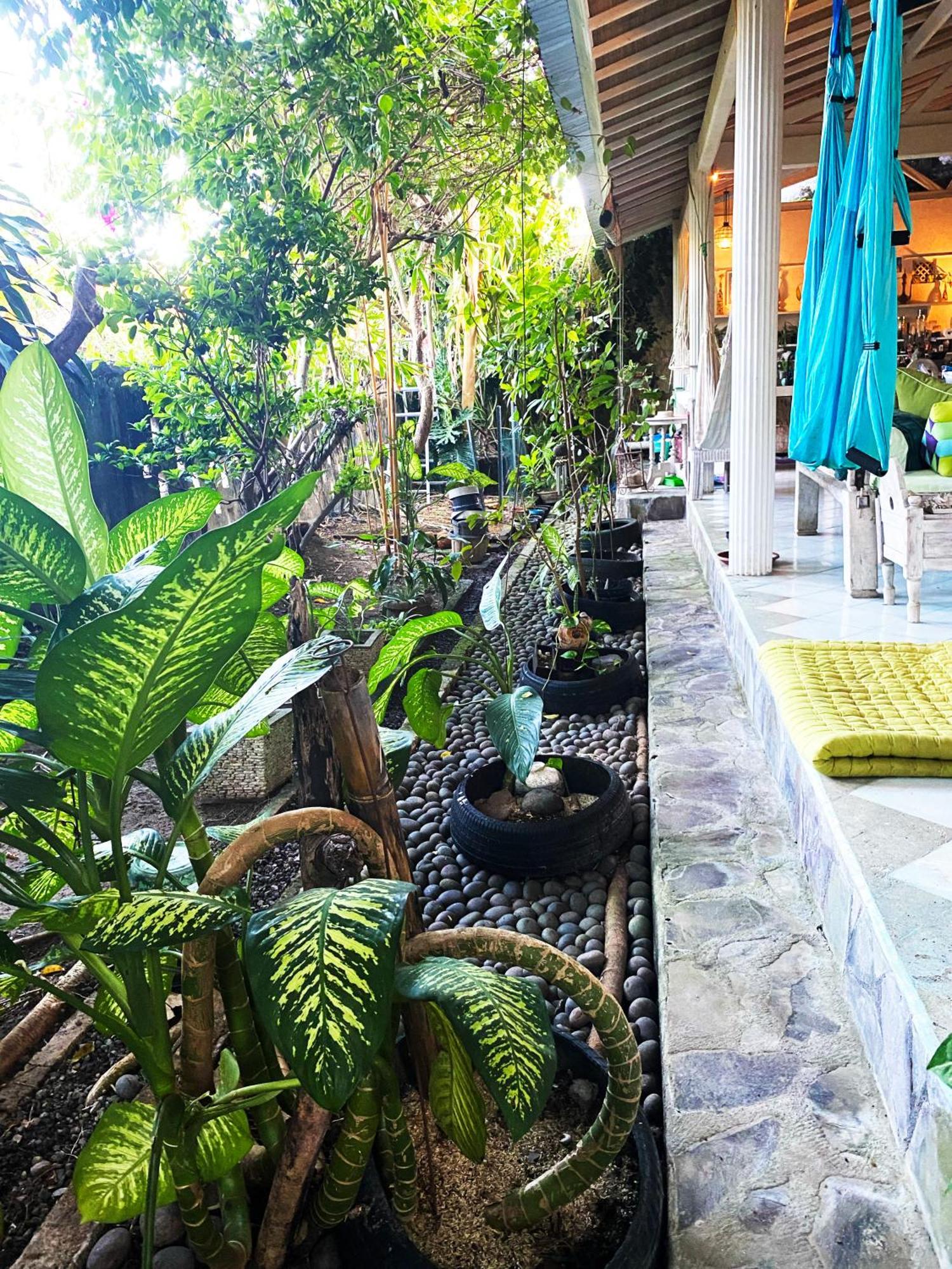 Shady Grove Healing Centre & Homestay W House Rules Please Read Before Booking Sanur Esterno foto