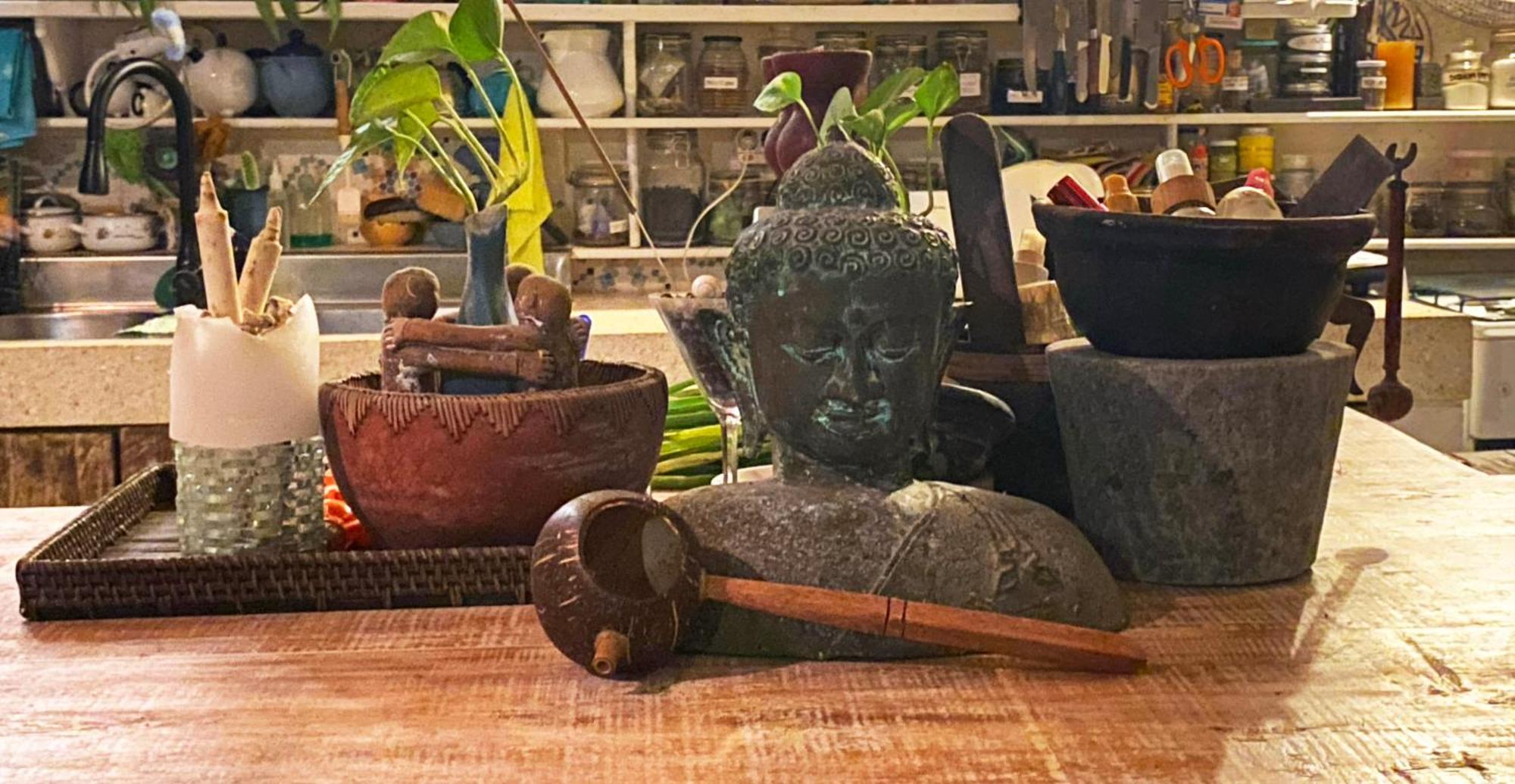 Shady Grove Healing Centre & Homestay W House Rules Please Read Before Booking Sanur Esterno foto