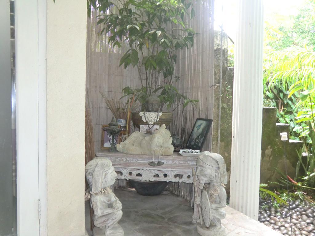 Shady Grove Healing Centre & Homestay W House Rules Please Read Before Booking Sanur Esterno foto